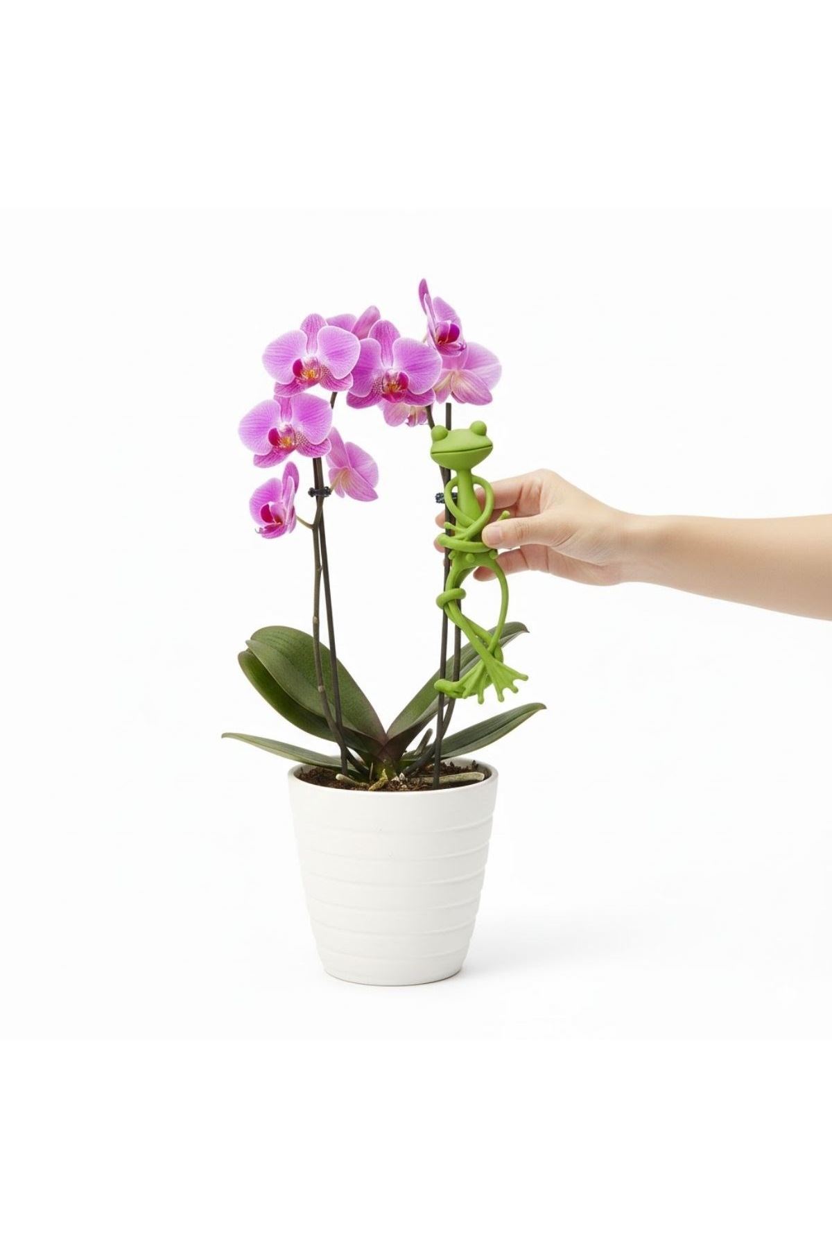 TBL Dekor® Kurbağa Şeklinde Bitki Sabitleyici – Bahçe ve İç Mekan Bitkileri İçin Dal ve Gövde Destek Aparatı, Çok Amaçlı Bitki Tutucu Klips