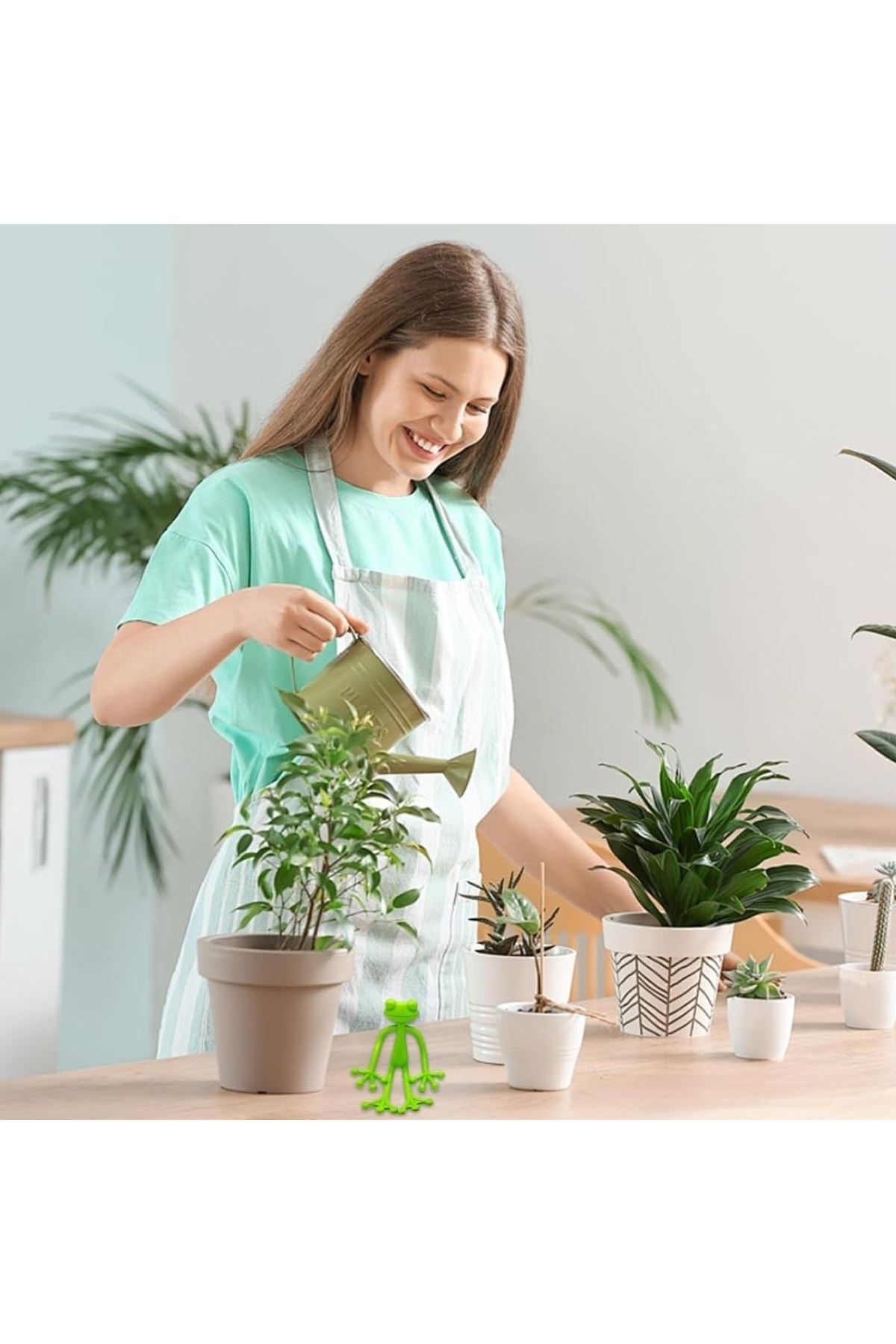 TBL Dekor® Kurbağa Şeklinde Bitki Sabitleyici – Bahçe ve İç Mekan Bitkileri İçin Dal ve Gövde Destek Aparatı, Çok Amaçlı Bitki Tutucu Klips