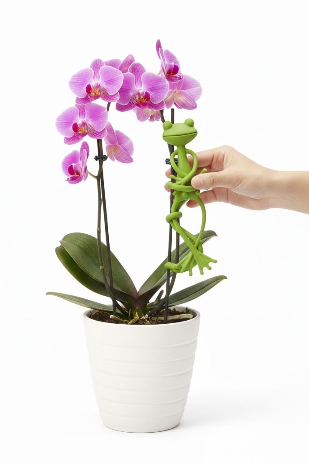 TBL Dekor® Kurbağa Şeklinde Bitki Sabitleyici – Bahçe ve İç Mekan Bitkileri İçin Dal ve Gövde Destek Aparatı, Çok Amaçlı Bitki Tutucu Klips