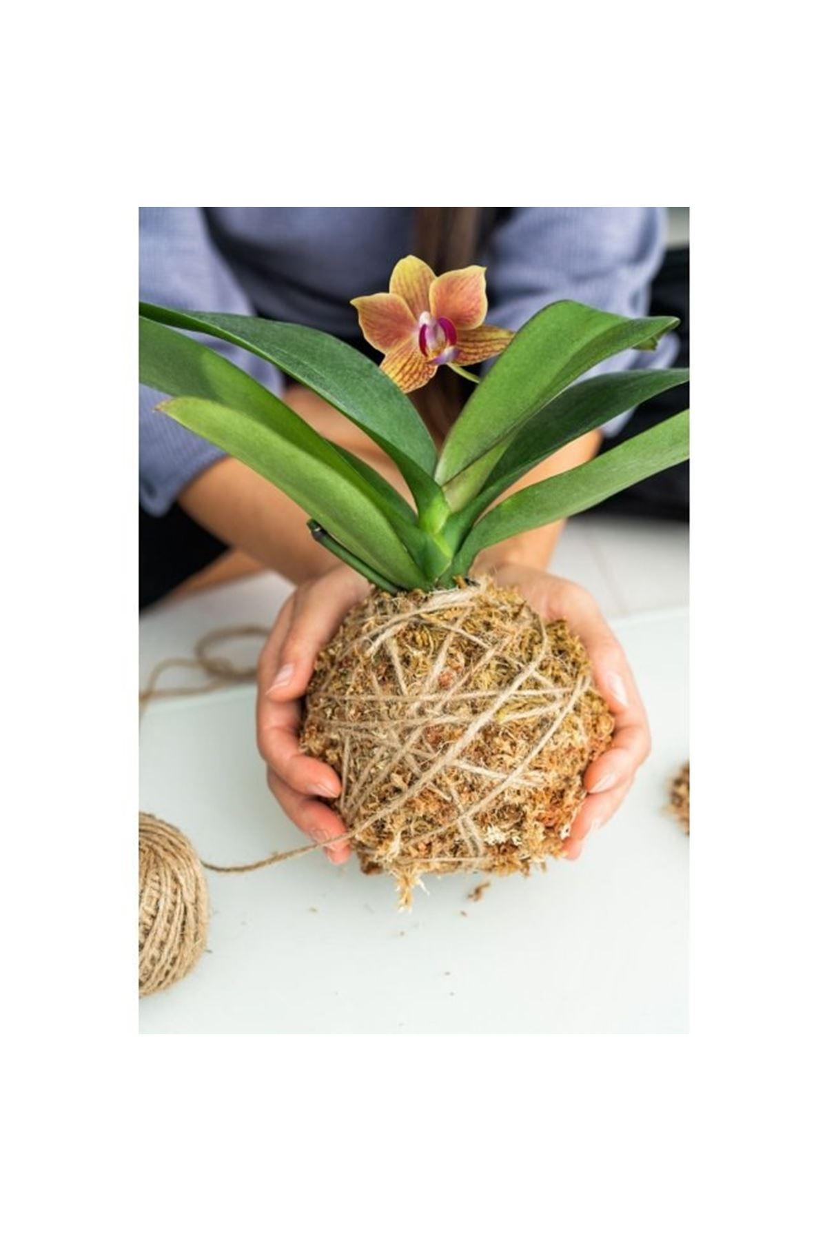 Jut İpi 100 Gr Doğal İp, Çuval İp, Hasır İp, Hasır Renk 1 Adet