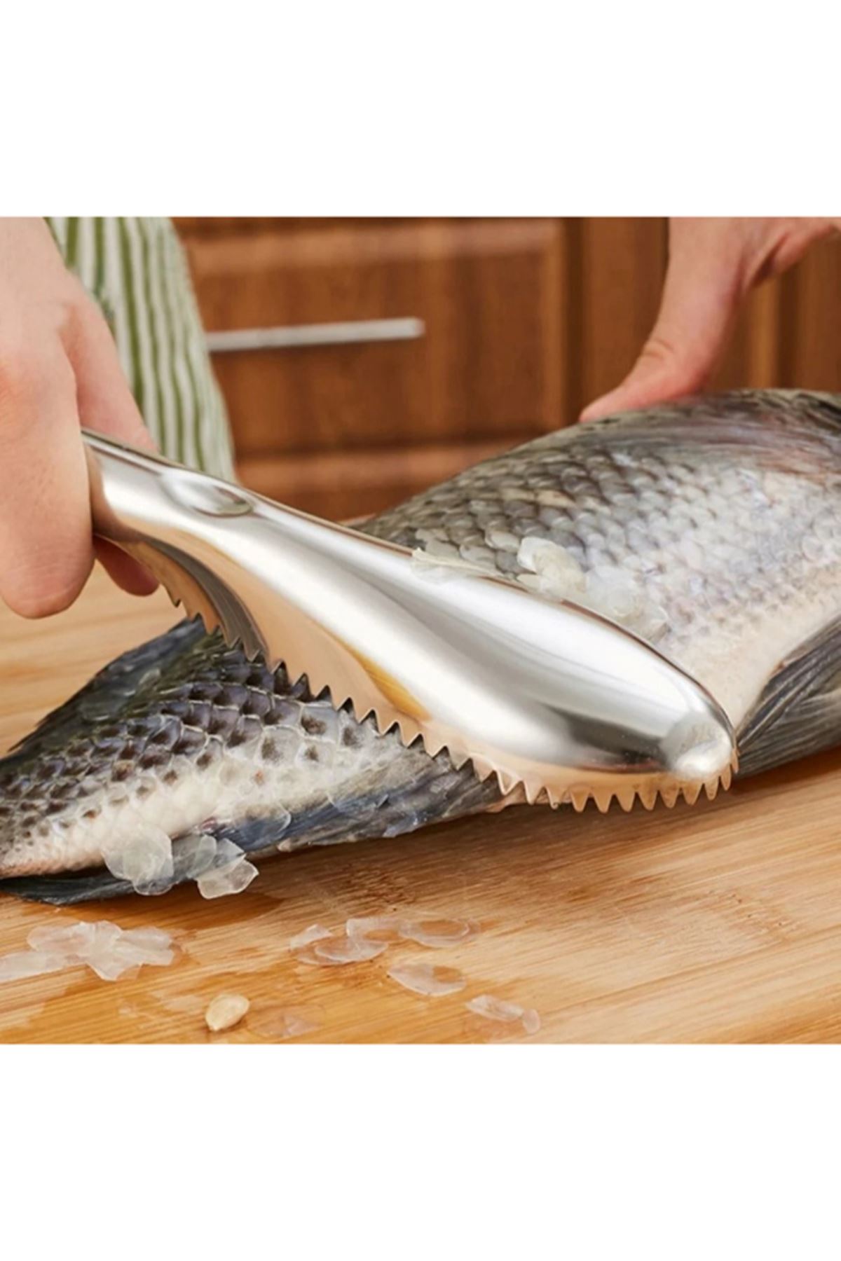 Pratik Balık Pulu Kazıyıcı Aparat