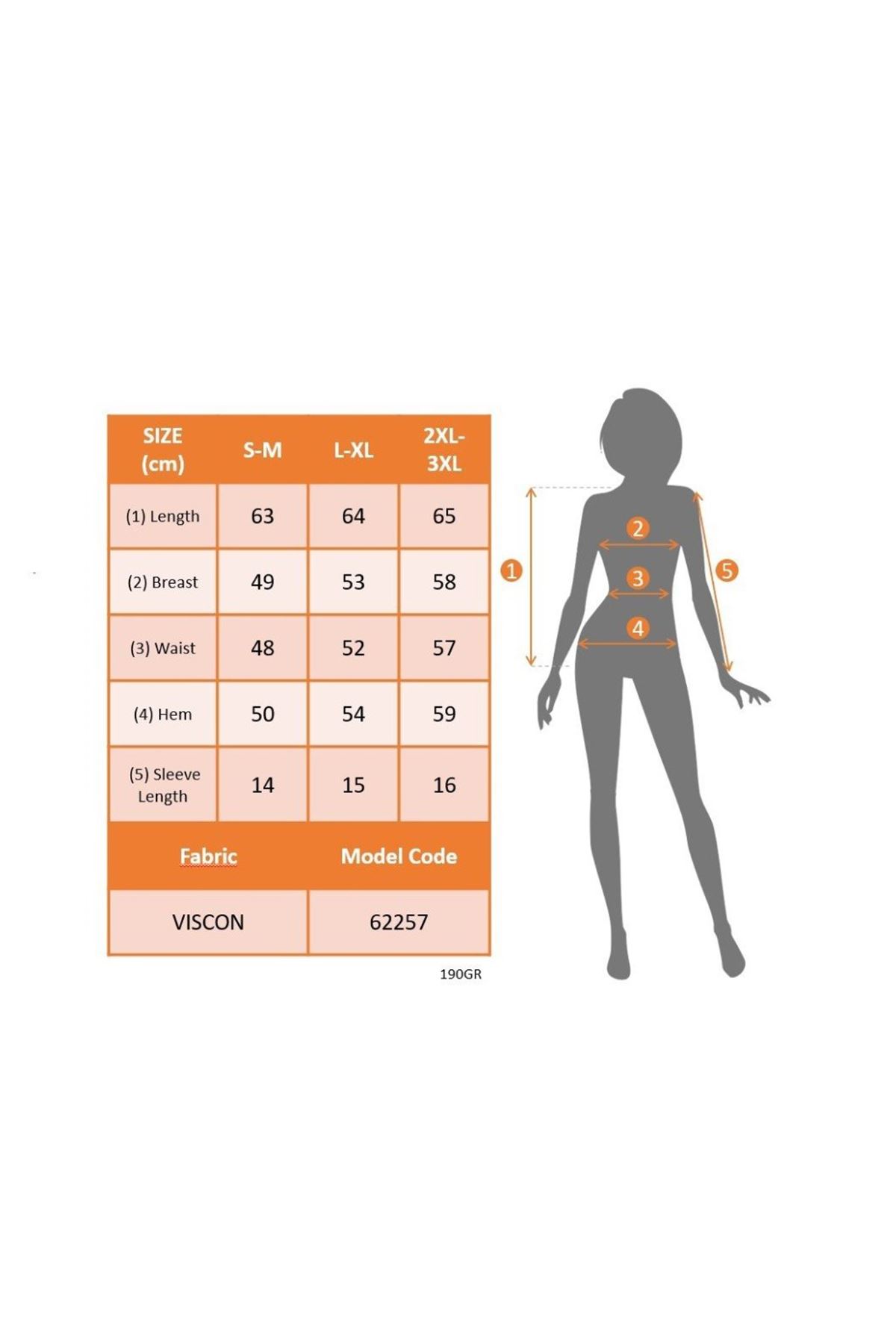 Kadın Kısa Kollu V Yakalı Viskon Bluz