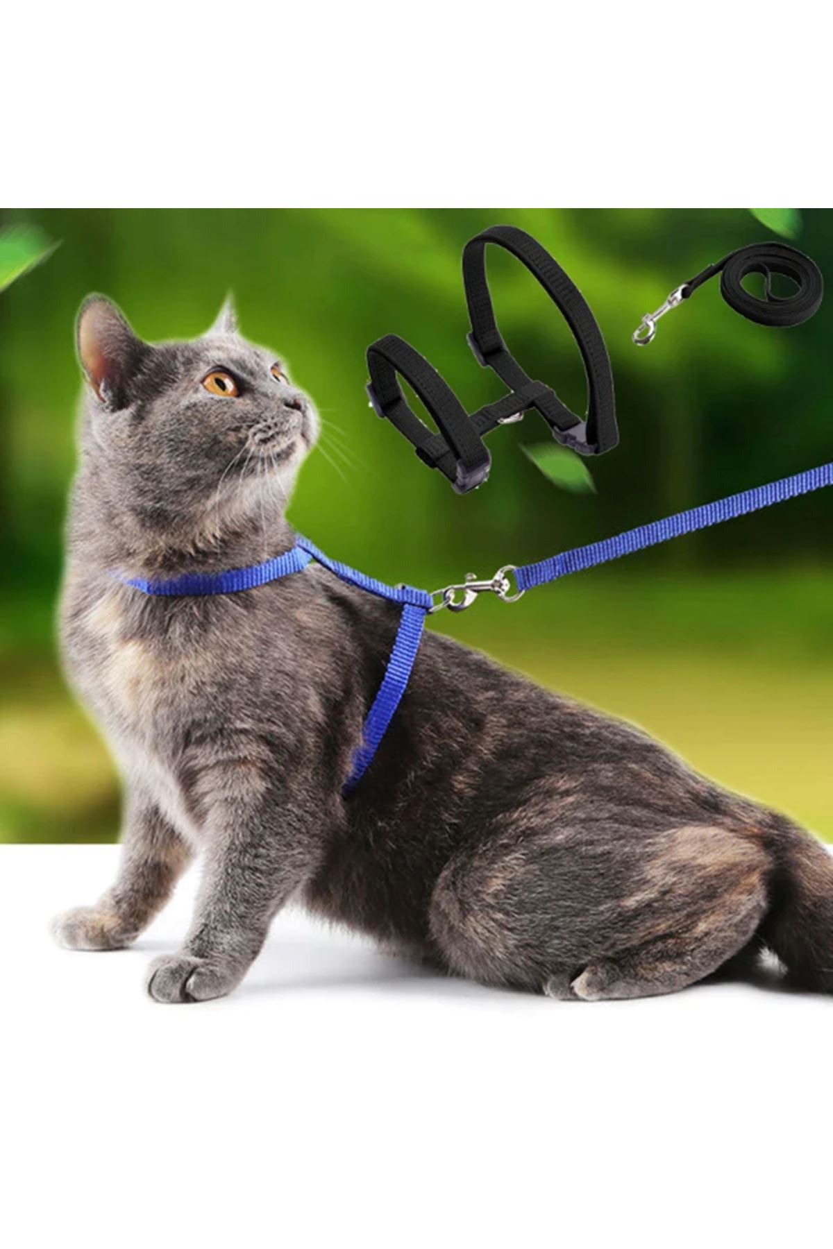 Kedi Tasması