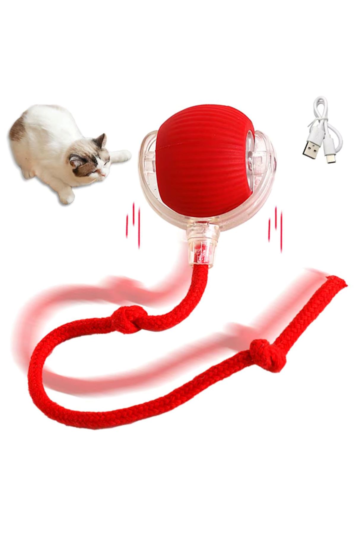 Şarjlı Kedi Oyuncağı