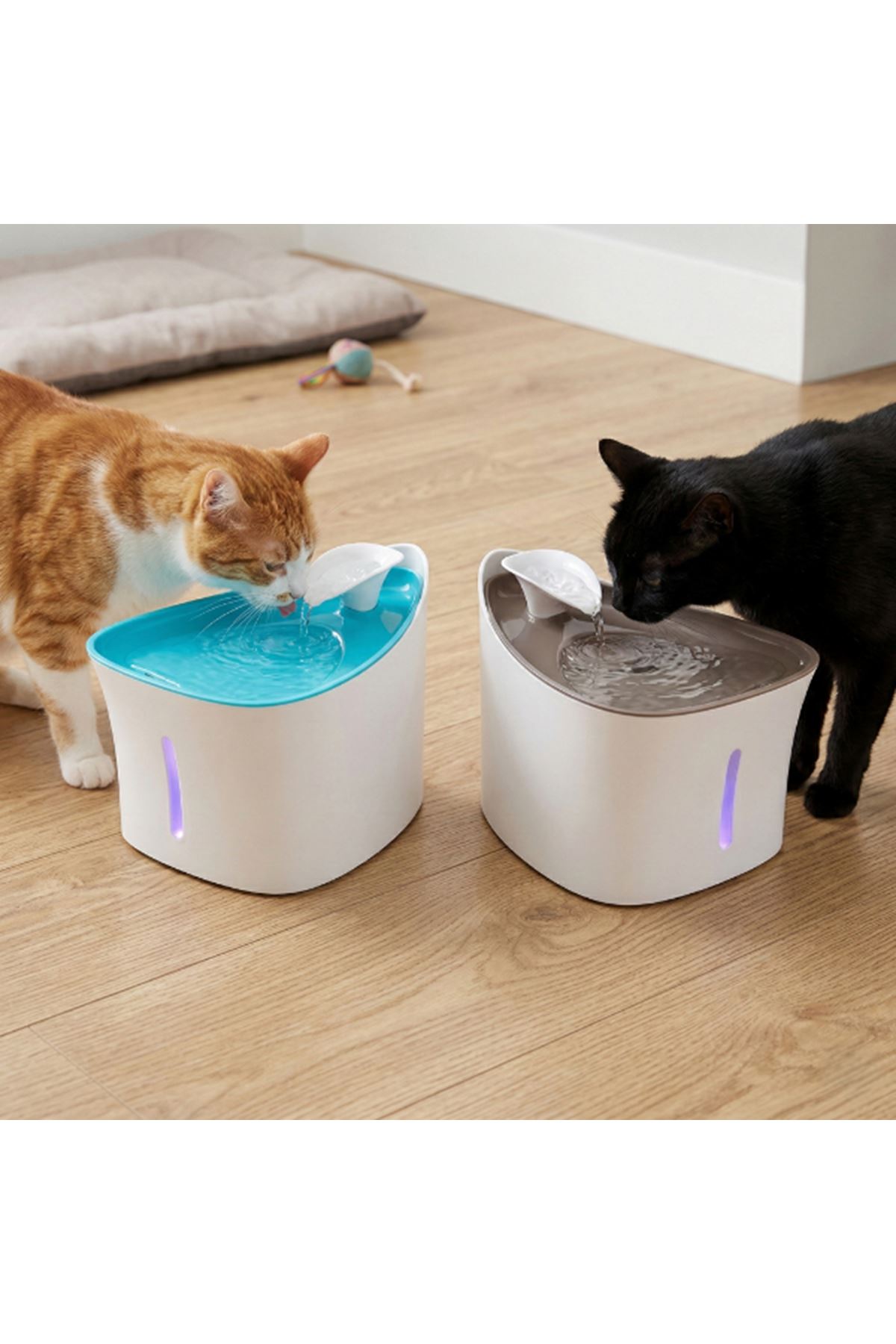 Otomatik Kedi Su Pınarı