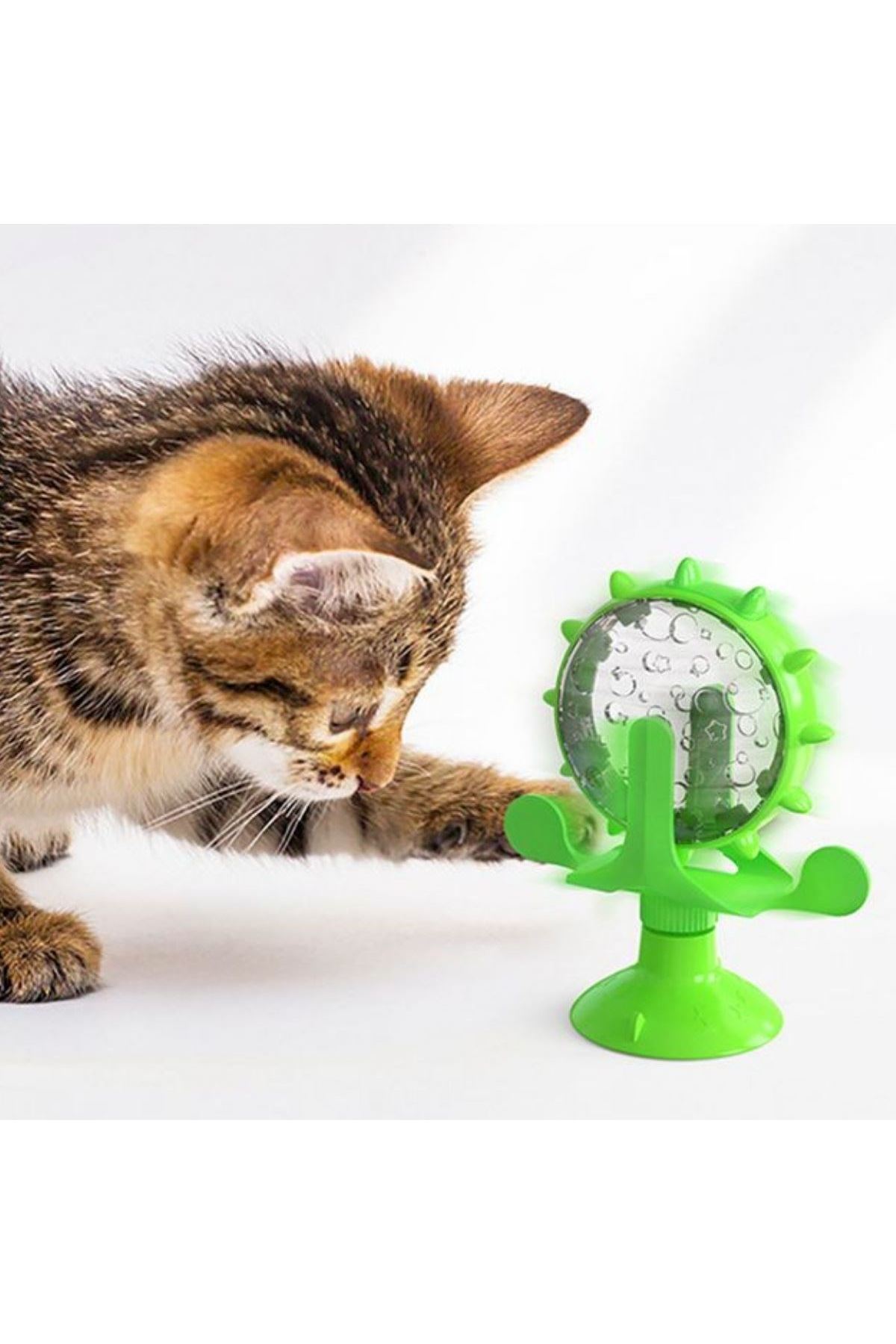 TBL Dekor® Vantuzlu Zilli İnteraktif Dönebilen Mama Kaplı Renkli Eğlenceli Eğitici Kedi Oyuncağı