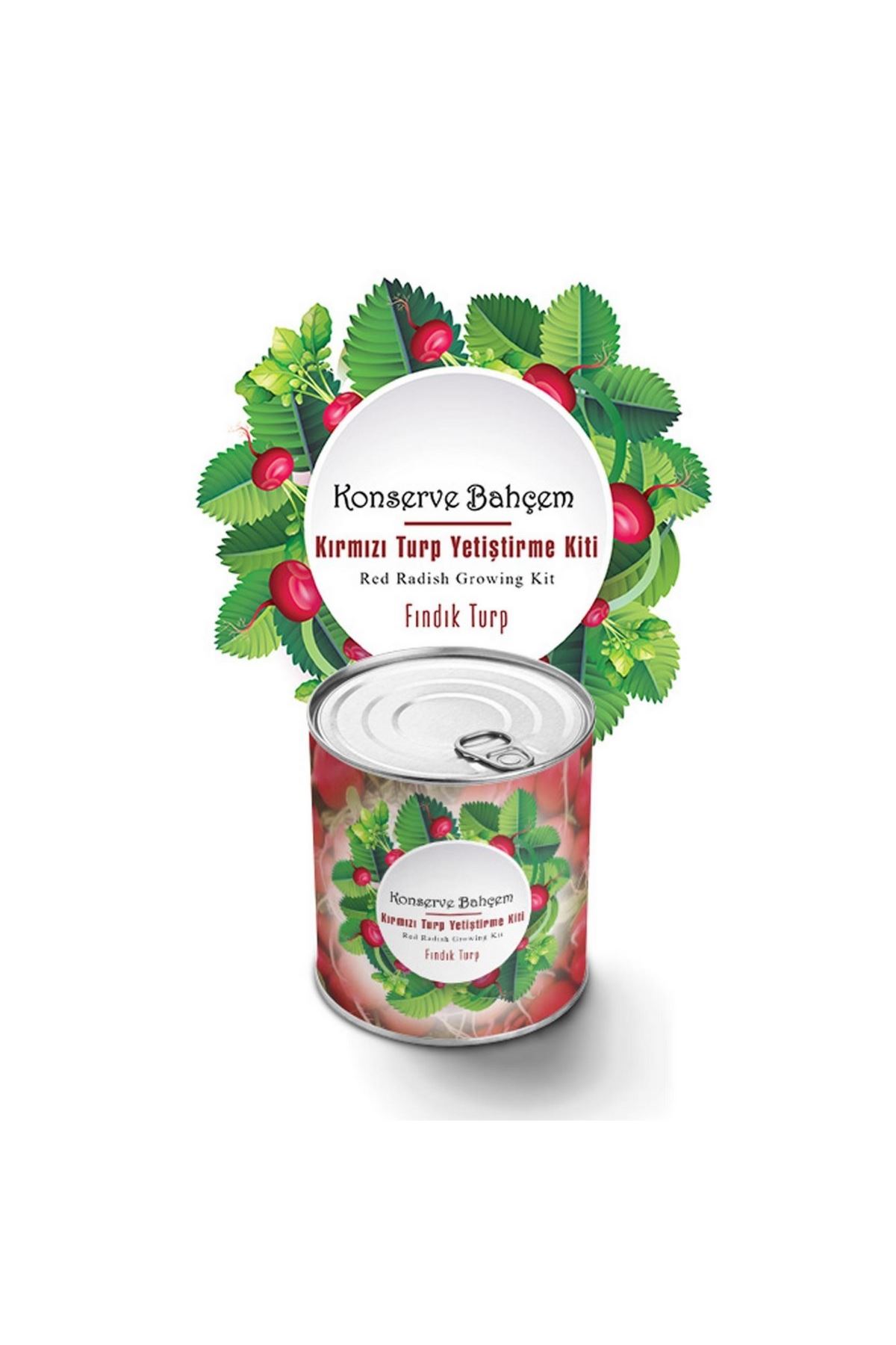 TBL Dekor® Konserve Bahçem Evde Konservede Fındık Turp Yetiştirme Kiti