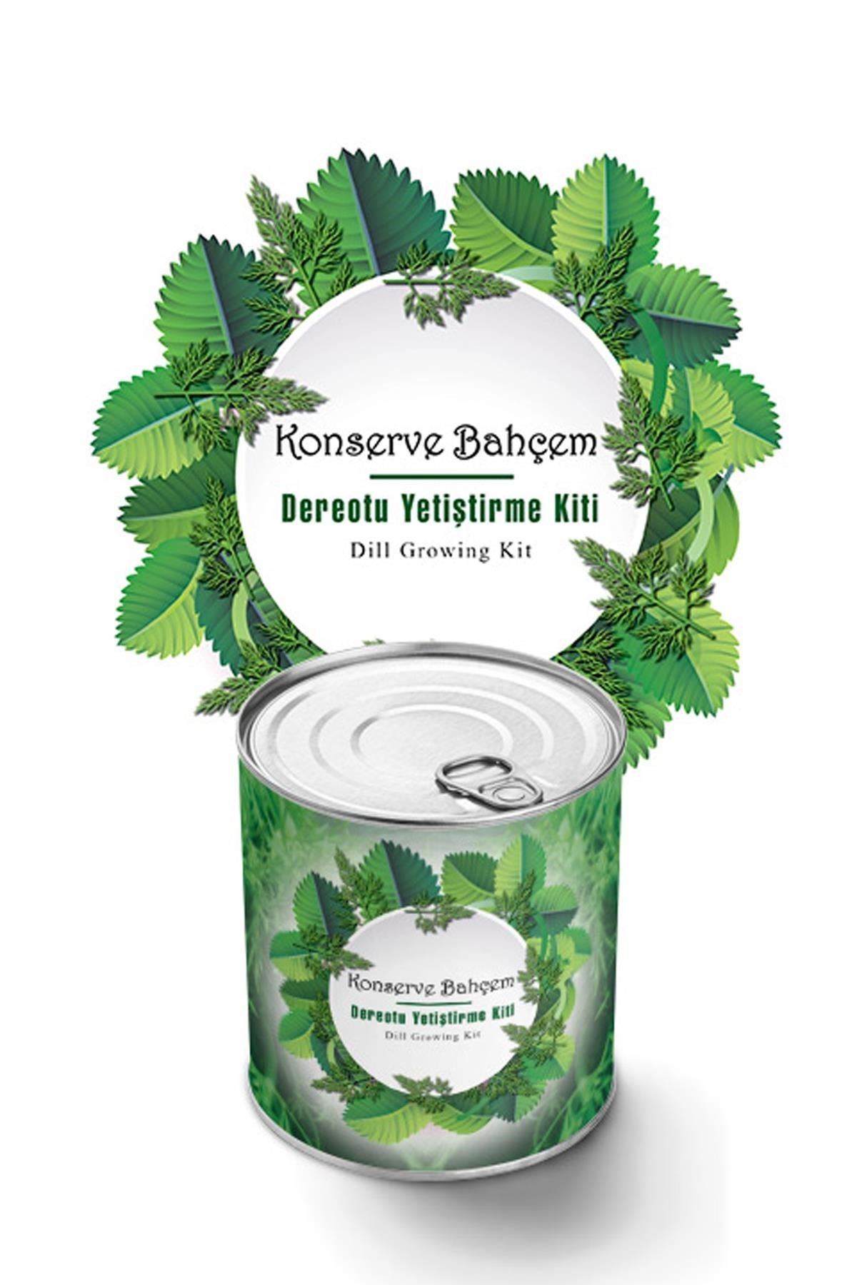 TBL Dekor® Konserve Bahçem Evde Konservede Dereotu Yetiştirme Kiti Aparatı