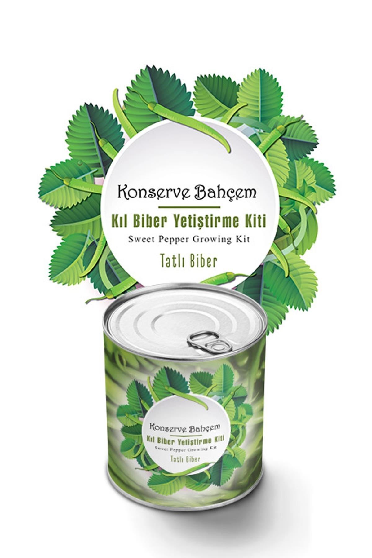 TBL Dekor® Konserve Bahçem Evde Konservede Tatlı Sivri Biber Yetiştirme Kiti