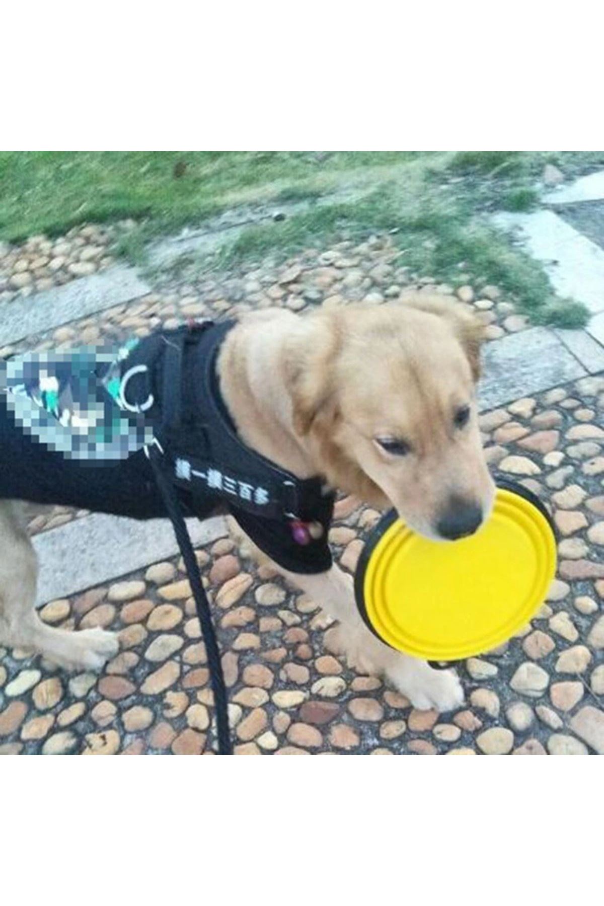 TBL Dekor® Katlanabilir Kedi Köpek Mama ve Su Kabı Köpek Oyuncağı