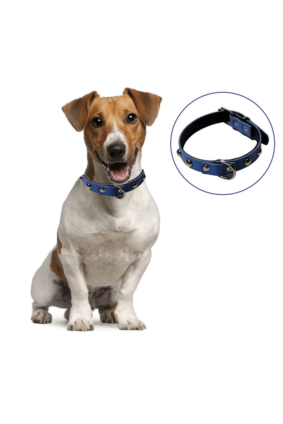 TBL Dekor® Yumuşak Dokulu Deri Köpek Gezdirme Boyun Tasması (Large)