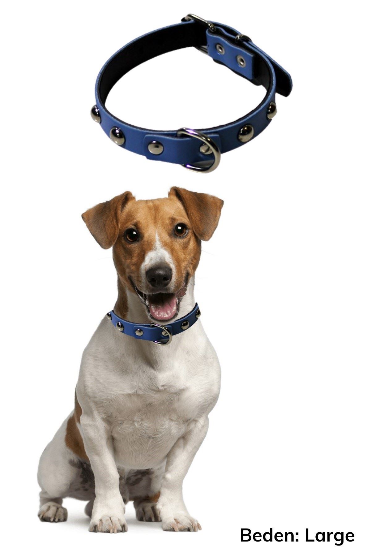 TBL Dekor® Yumuşak Dokulu Deri Köpek Gezdirme Boyun Tasması (Large)