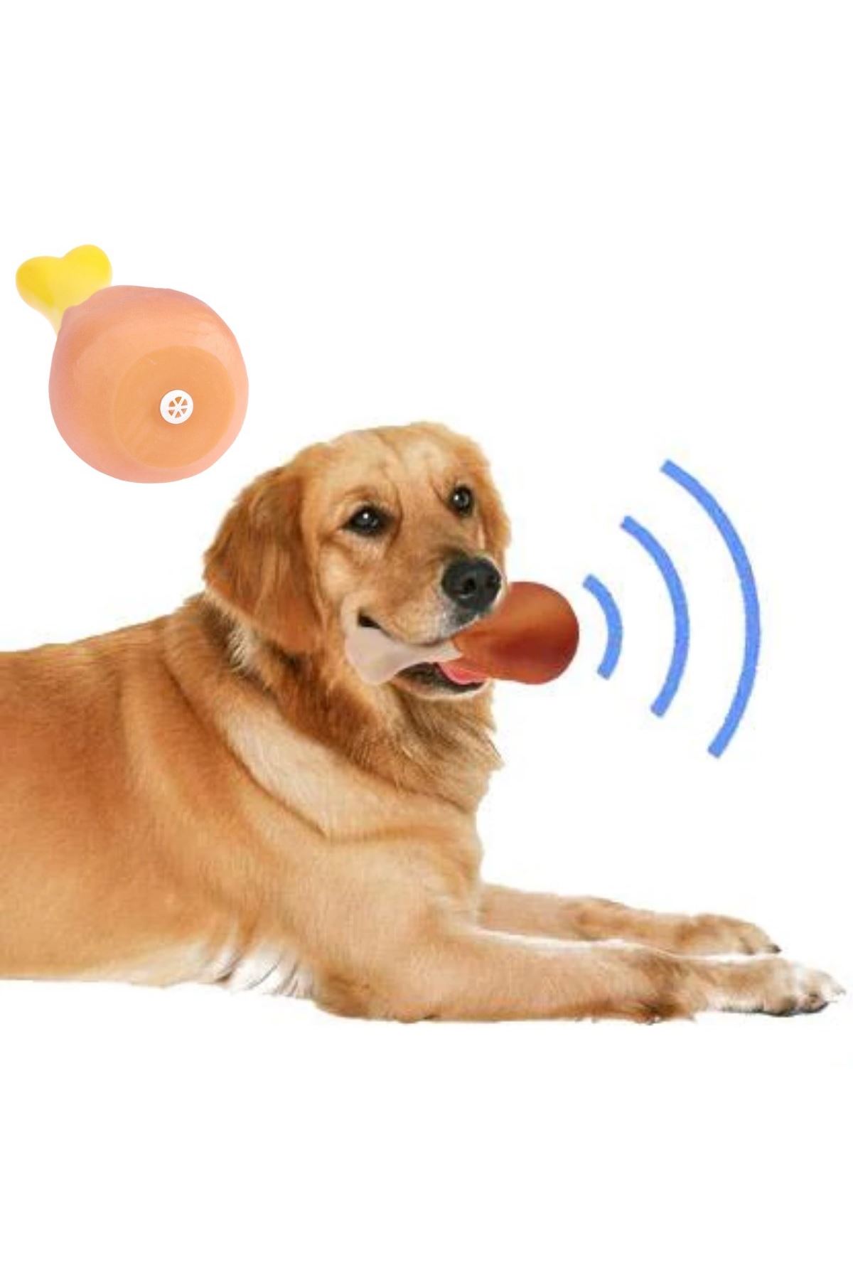 TBL Dekor Köpekler İçin Oyuncak Tavuk Budu