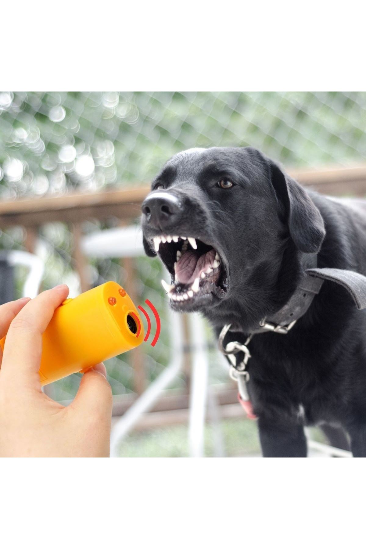 TBL Dekor® Ultrasonik Köpeksavar Köpek Kovucu Köpek Kornası Eğitim Cihazı