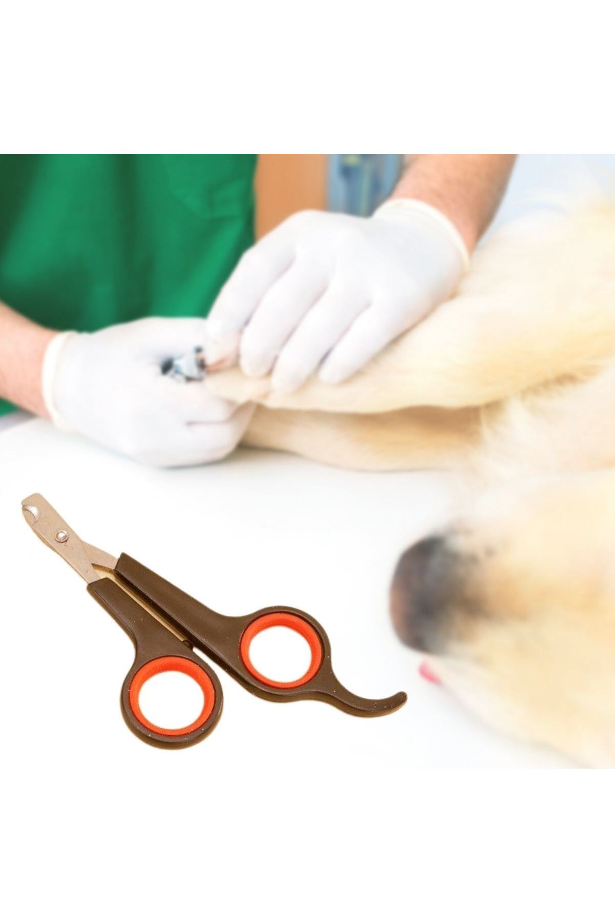 TBL Dekor Küçük Çelik Uçlu Kedi Köpek Evcil Hayvan Tırnak Makası Pati Bakım Aleti Ergonomik Kaymaz Sap