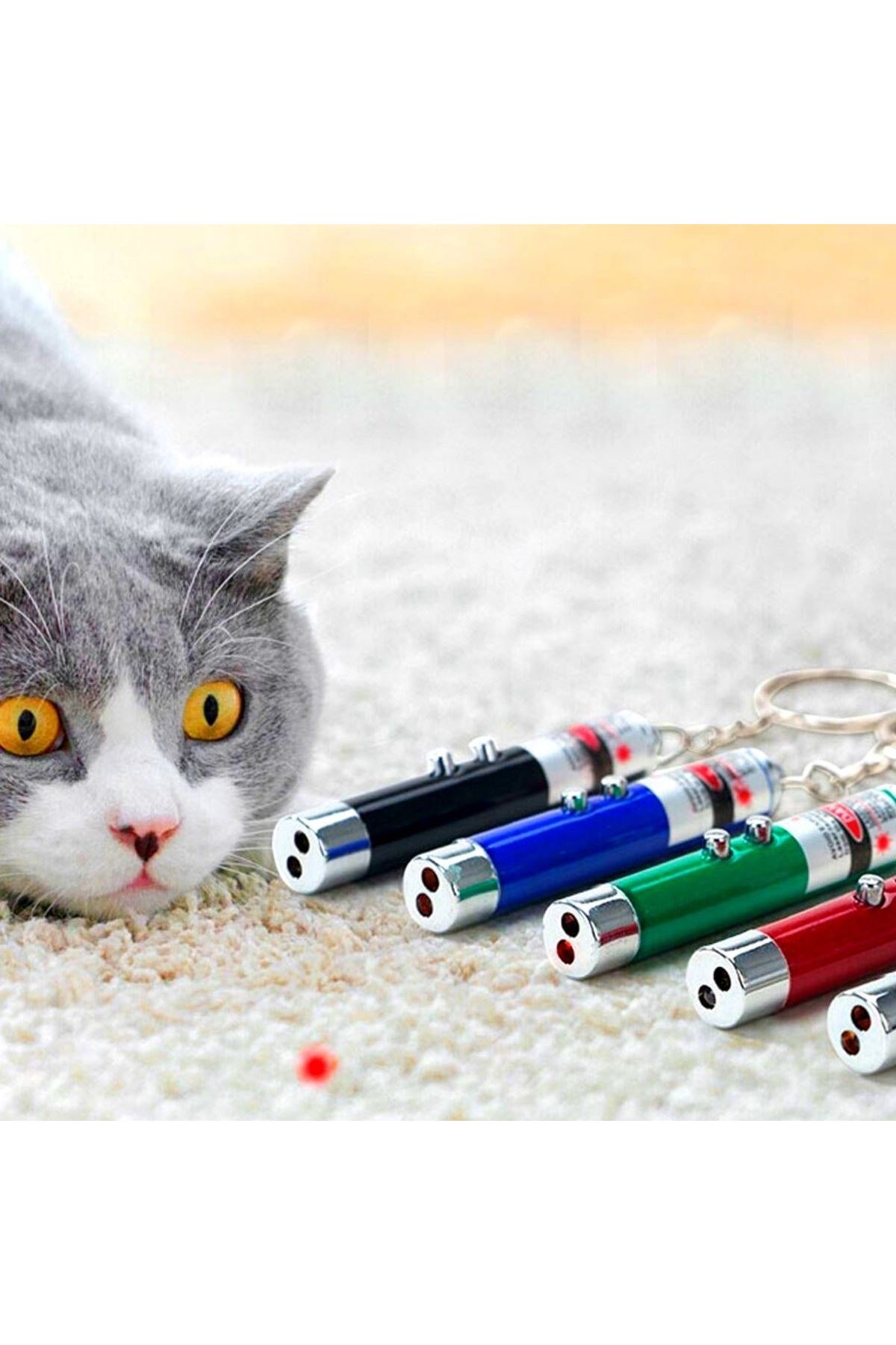 TBL Dekor®  3 Fonksiyonlu Kırmızı Beyaz Işıklı Led Lazer Kedi Köpek Oyuncak Anahtarlık