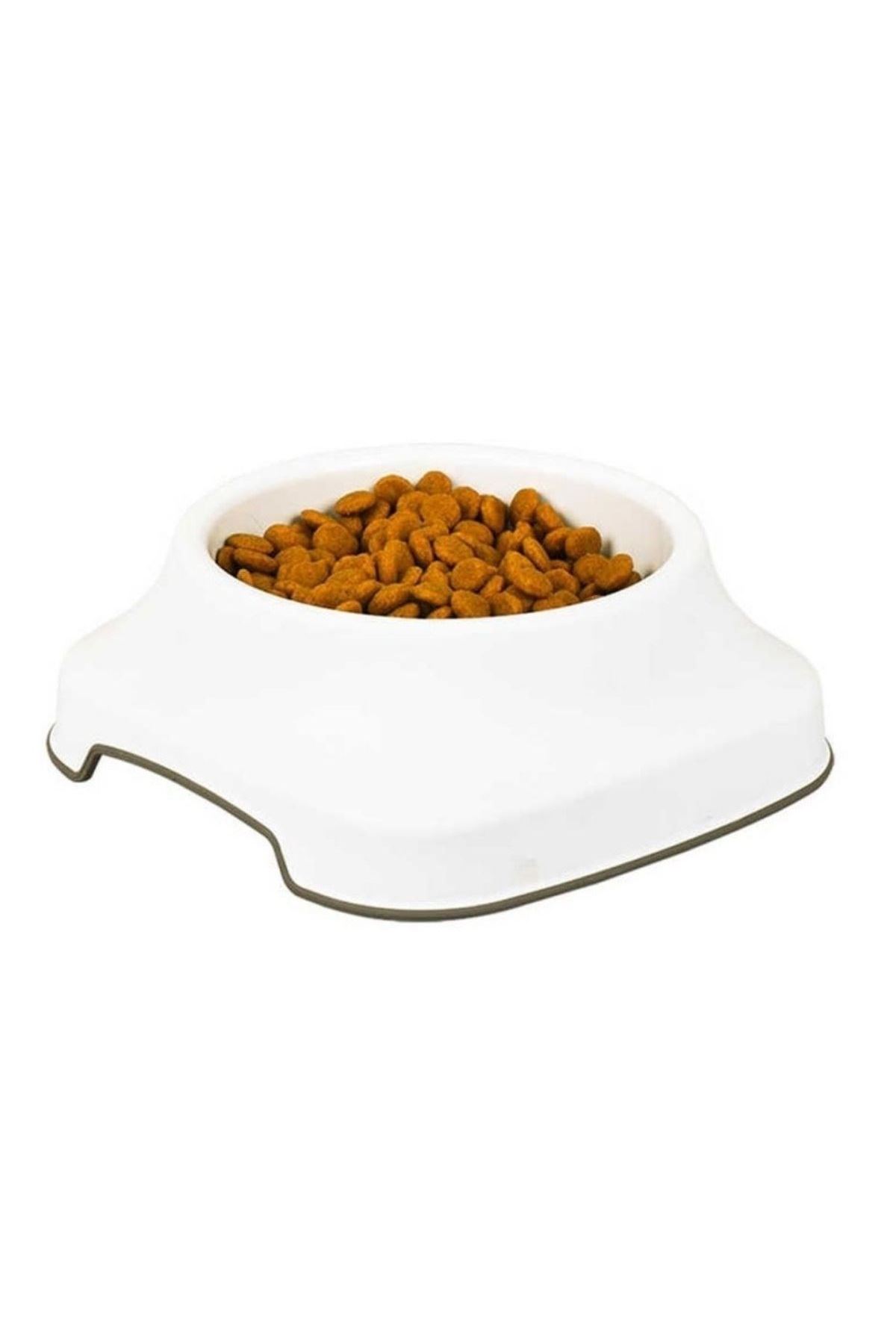 TBL Dekor® Silikon Kaydırmaz Taban Plastik Kedi ve Köpek Mama ve Su Kabı 2 L
