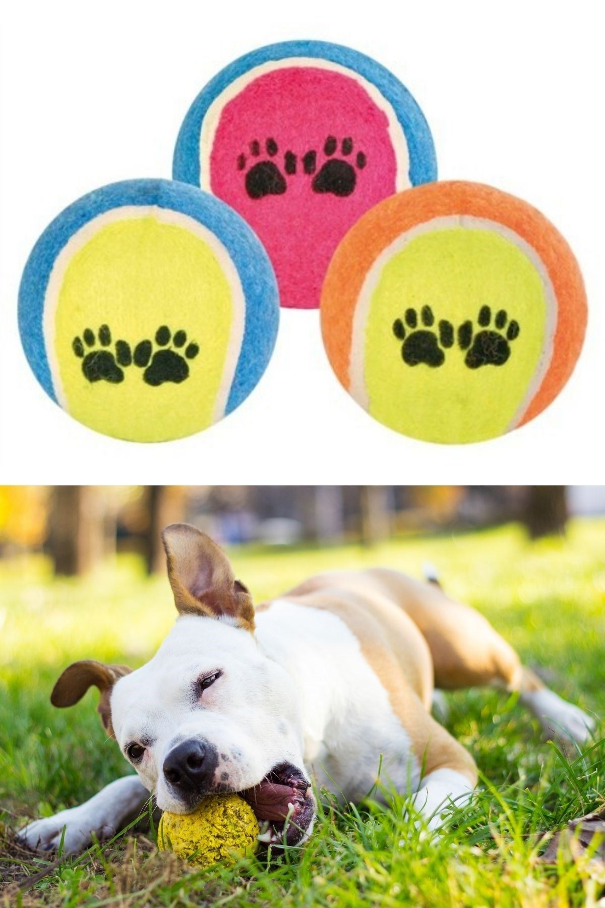 TBL Dekor®  3lü Renkli Desenli Tenis Topu Kedi Köpek Oyuncağı