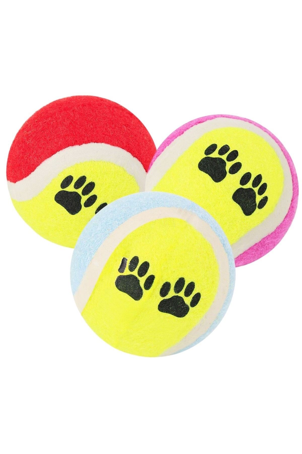 TBL Dekor®  3lü Renkli Desenli Tenis Topu Kedi Köpek Oyuncağı