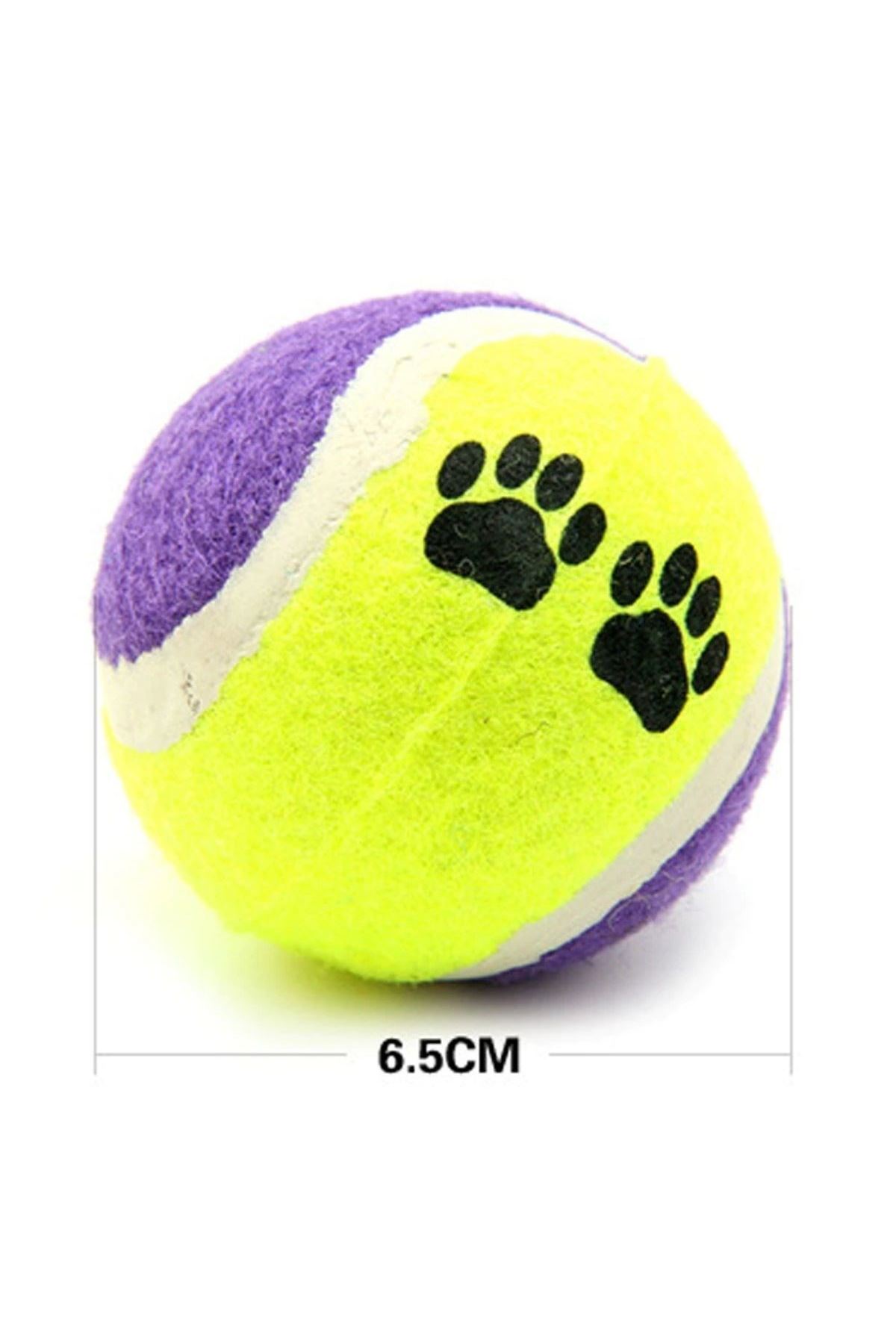 TBL Dekor®  3lü Renkli Desenli Tenis Topu Kedi Köpek Oyuncağı