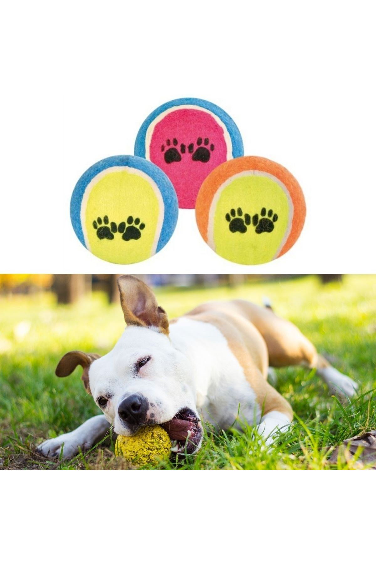 TBL Dekor®  3lü Renkli Desenli Tenis Topu Kedi Köpek Oyuncağı