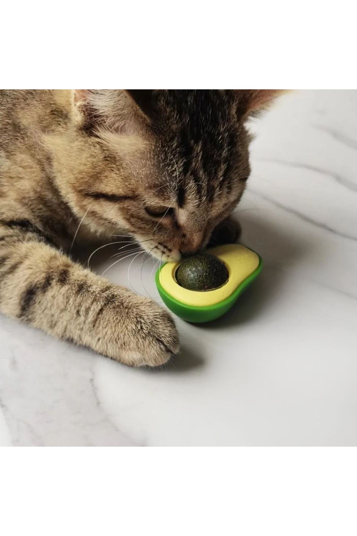 TBL Dekor® Avokado Model Yapışkanlı Kedi Oyuncağı Yenilebilir Kedi Nanesi Otu