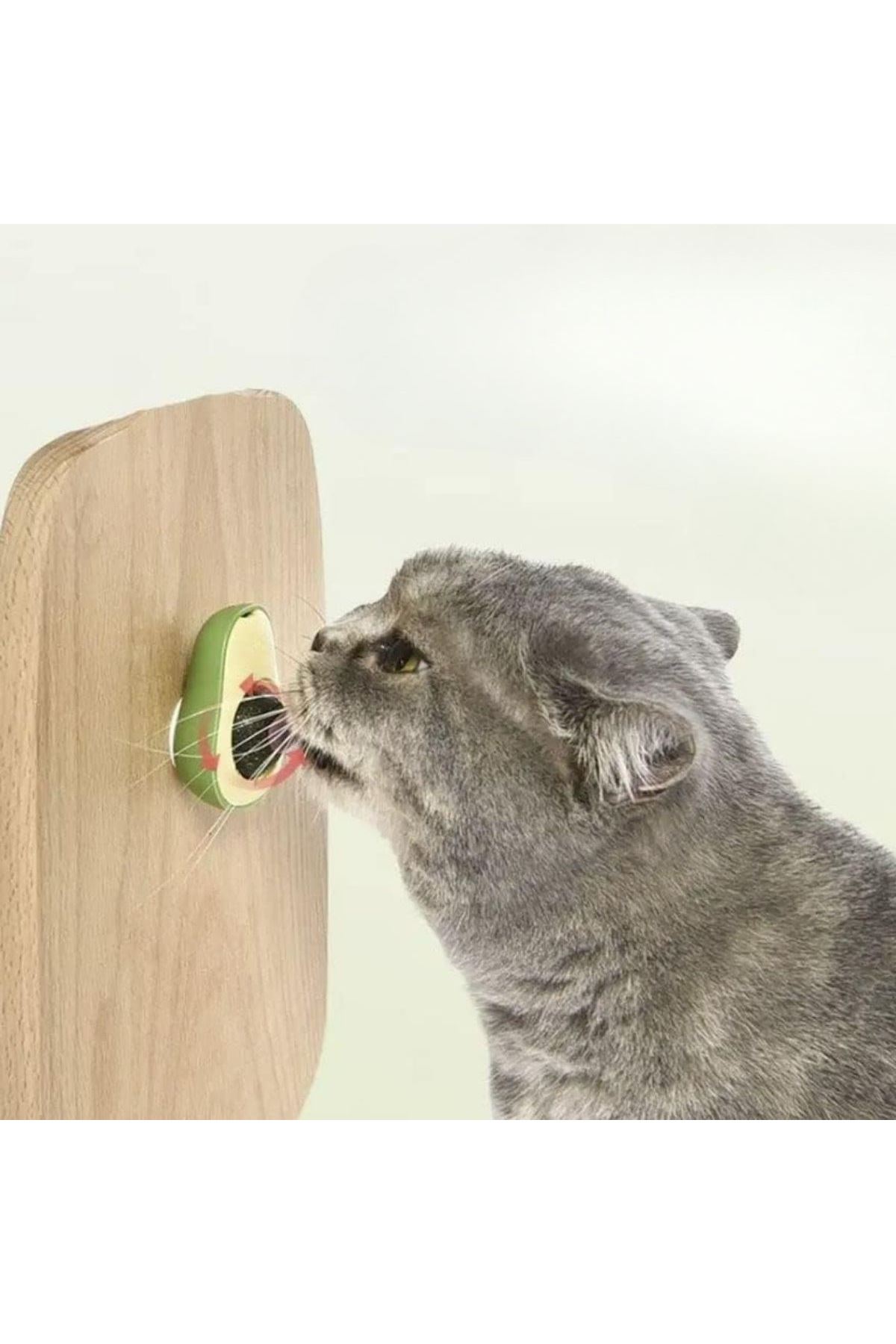 TBL Dekor® Avokado Model Yapışkanlı Kedi Oyuncağı Yenilebilir Kedi Nanesi Otu