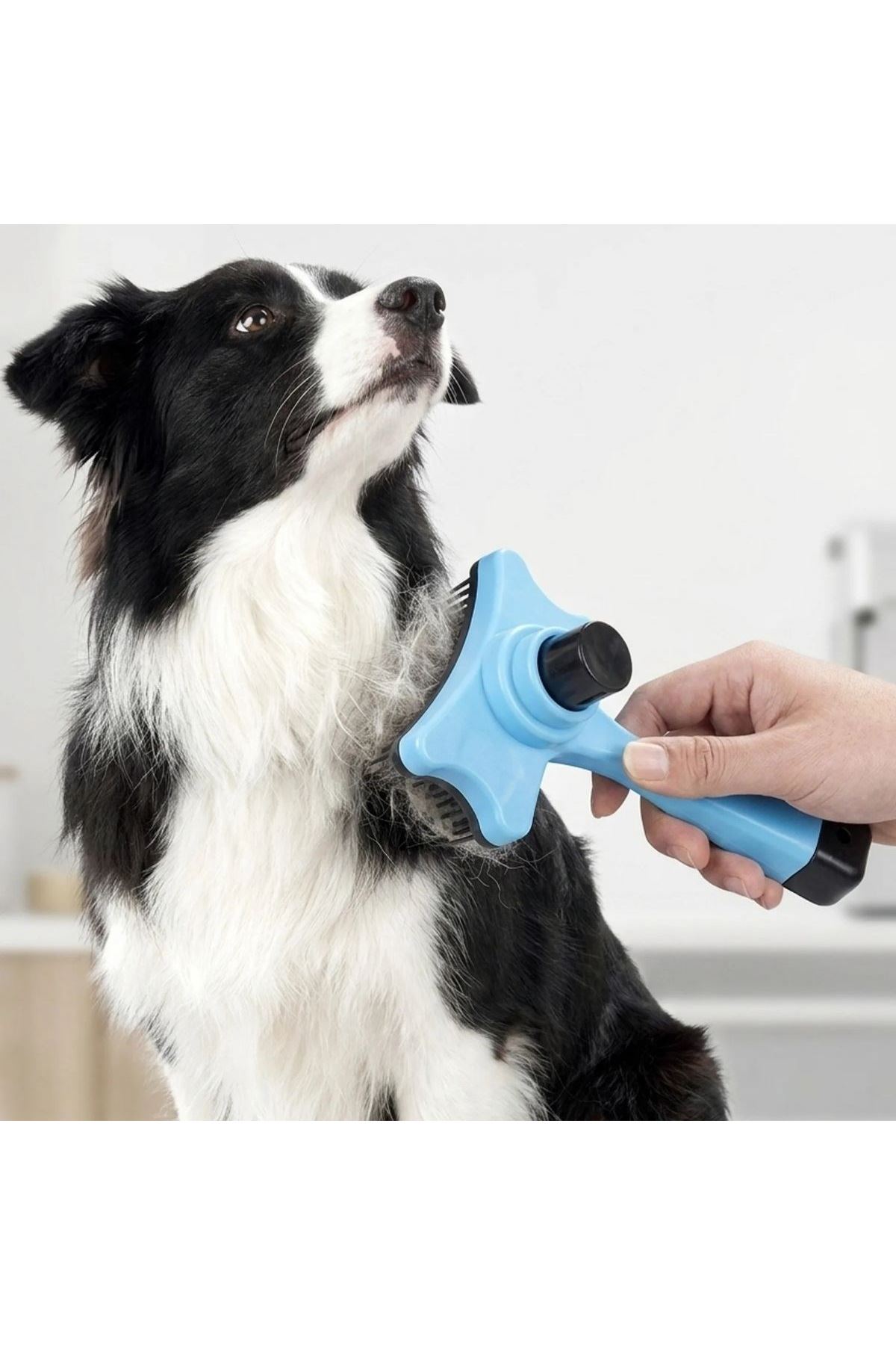 TBL Dekor® Evcil Hayvan Kedi Köpek Tüy Toplayıcı Otomatik Tuşlu Pet Tarak