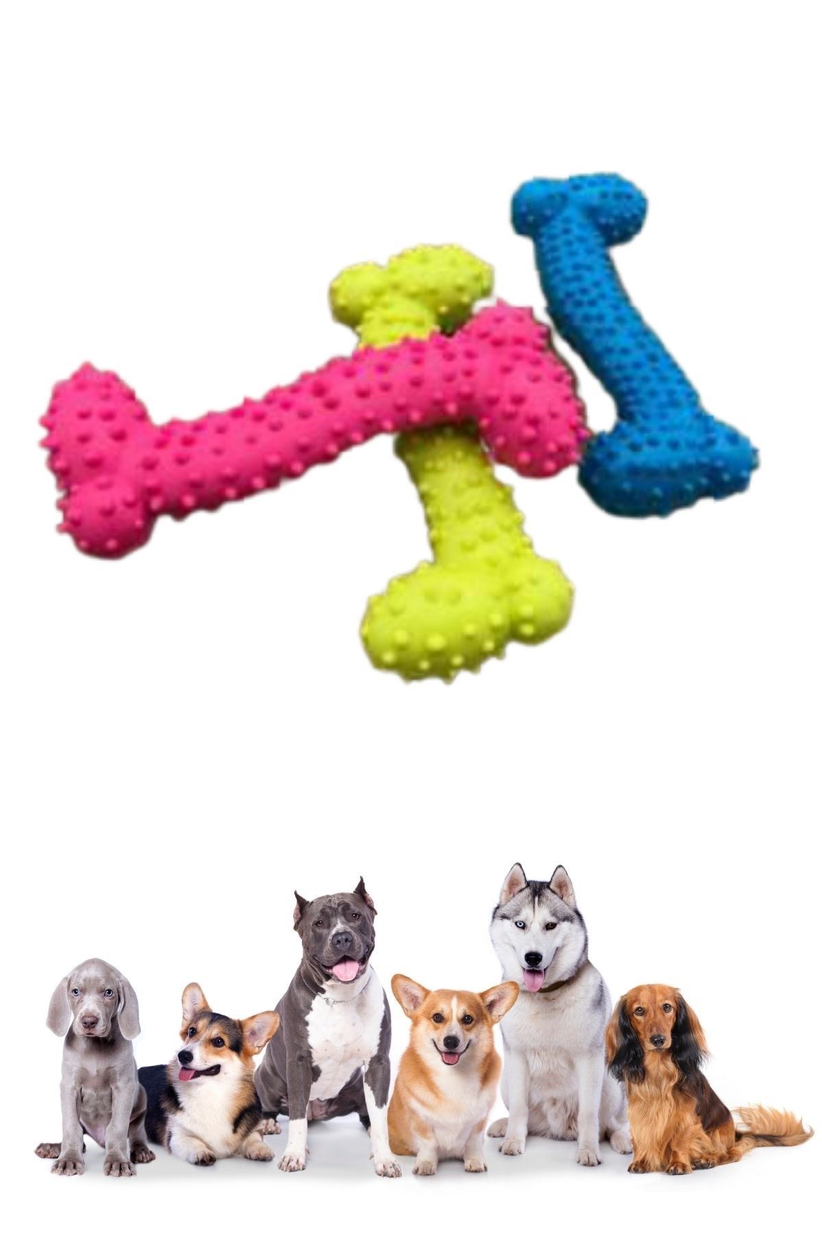TBL Dekor® Tiny Kemik Oyuncağı Tırtıklı Yüzey Küçük Kemik Plastik Köpek Oyuncağı