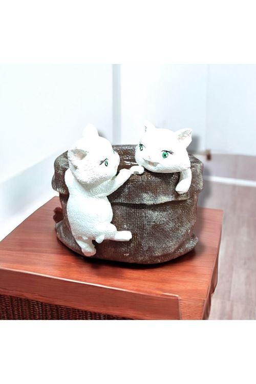 Kedili Saksı Yavru Kedi Biblo