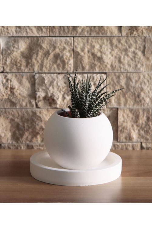 Bubble Sukulent Saksı, 12 Cm Tabaklı Set, Dekoratif Hediyelik Ham Beyaz