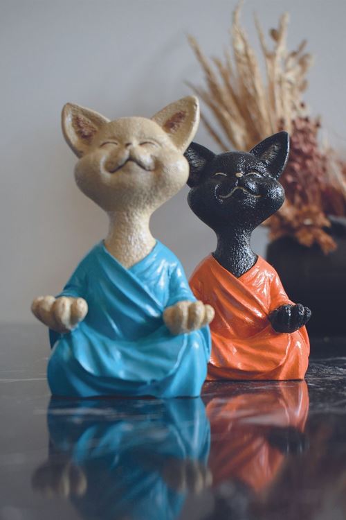 Yoga Yapan Kedi Biblo