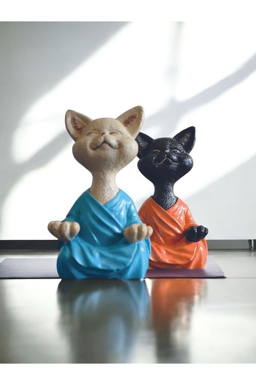 2'li Yoga Yapan Kedi Biblo