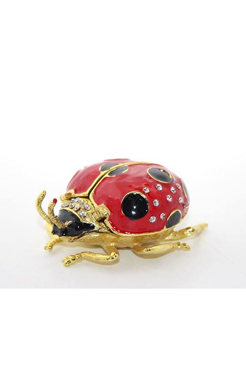 Uğur Böceği Model 1