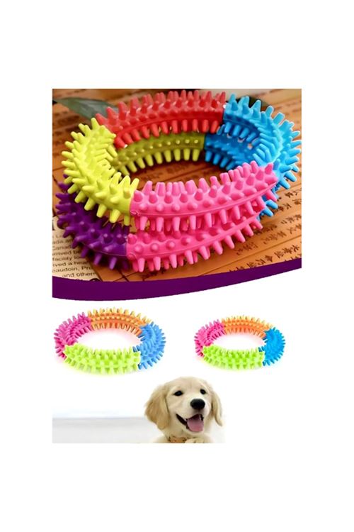 Köpek Isırma Diş Kaşıma Çemberi