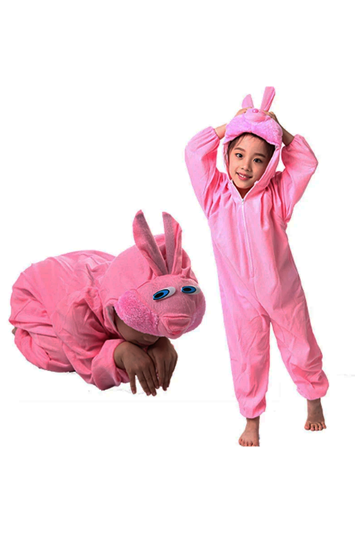 Çocuk Tavşan Kostümü Pembe Renk 4-5 Yaş