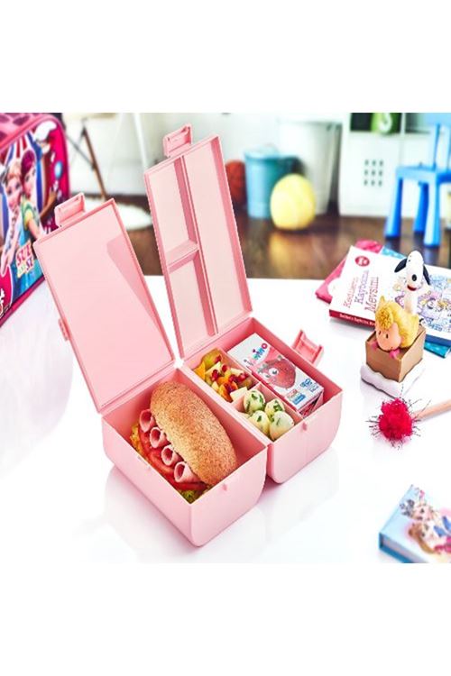 Çift Kapaklı Bölmeli Beslenme Kabı