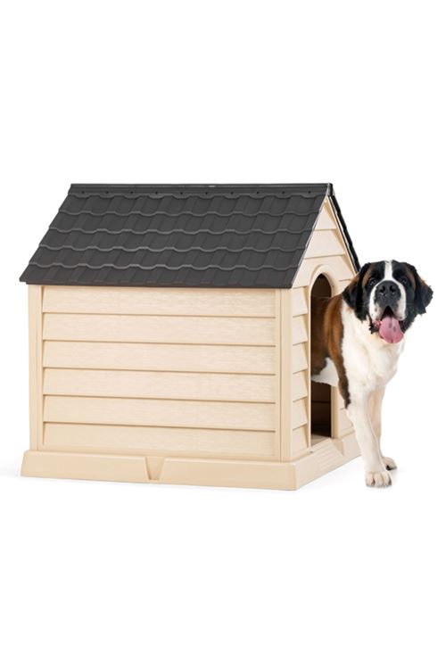 Büyük Köpek Kulübesi