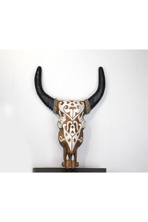 Duvara Asmalı Bufalo Kafası