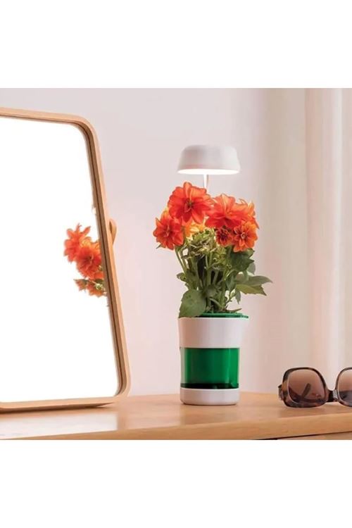 Hızlı Bitki Yetiştirme Saksısı