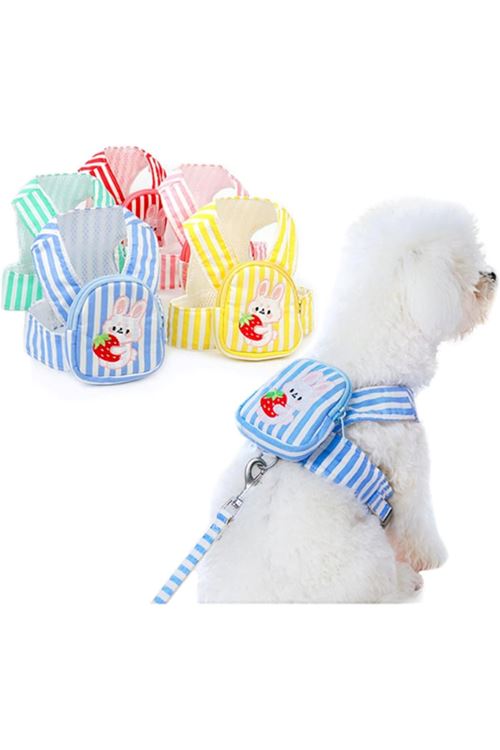 Evcil Hayvan Çantalı Göğüs Gezdirme Tasması Seti