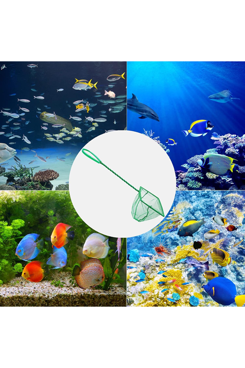 Akvaryum Balık Kepçesi 10 cm.