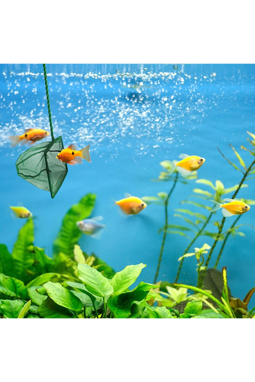 Akvaryum Balık Kepçesi 7.5 Cm.