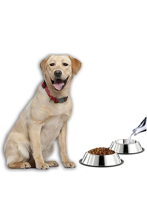 Paslanmaz Çelik Metal Mama Kabı 34 cm.