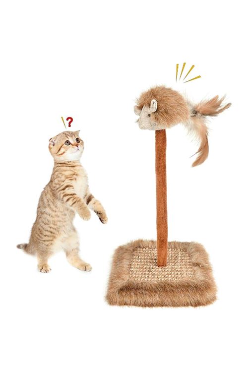 Sesli Oyuncaklı Kedi Tırmalama Tahtası