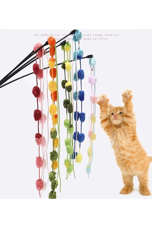 ÇINGIRAKLI KEDİ OYUN OLTASI