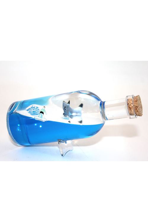 Şişe İçinde Batmayan Gemi Model 2