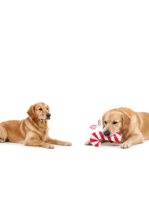 Sesli Baston Şeker Oyuncak