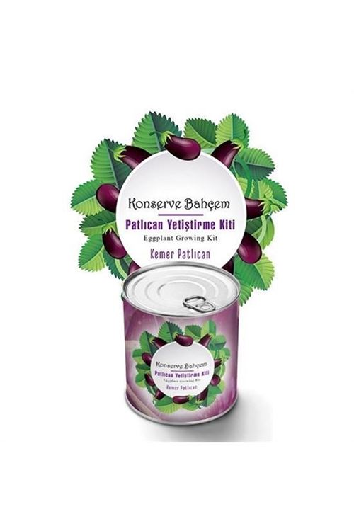 Tbl Dekor® Konserve Bahçem Evde Konservede  Kemer PatlıcanYetiştirme Kiti
