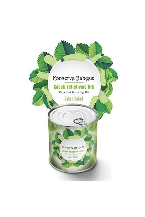 Tbl Dekor® Konserve Bahçem Evde Konservede Sakız Kabak Yetiştirme Kiti